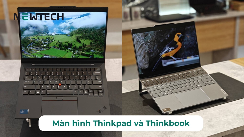 Màn hình của ThinkPad và ThinkBook