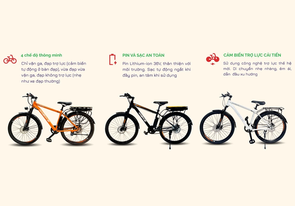 Các đặc điểm của Xe đạp trợ lực điện Wiibike Sapa