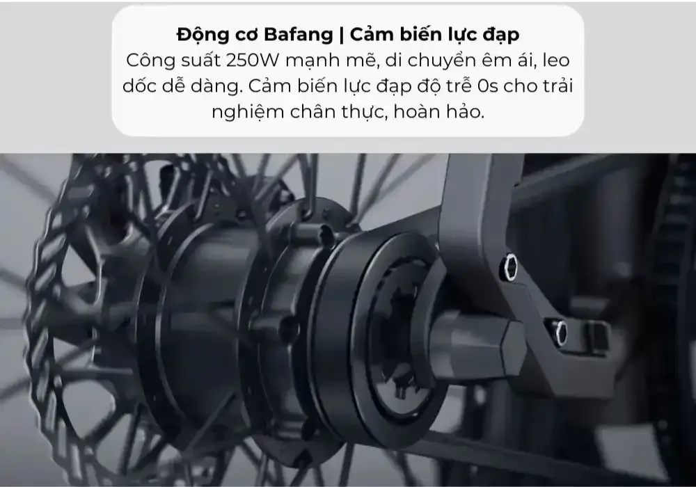 Động cơ Bafang 250W