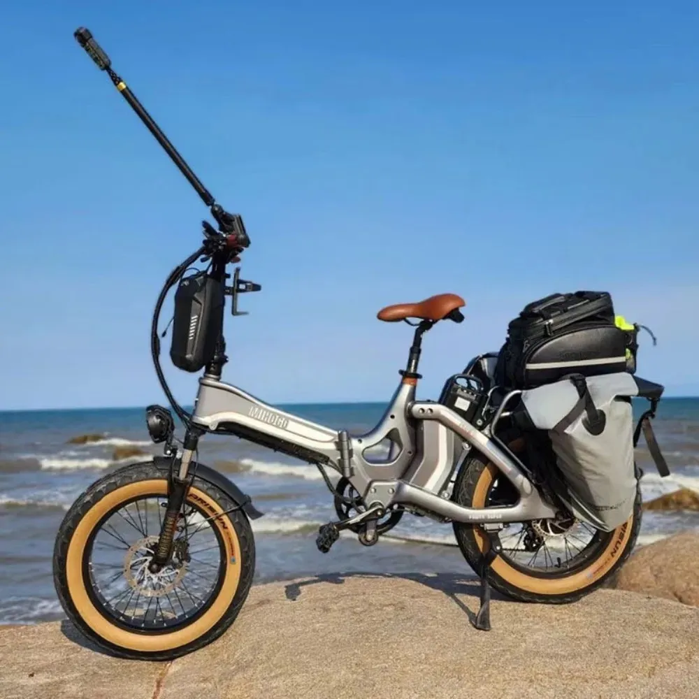 Động cơ DC không chổi than