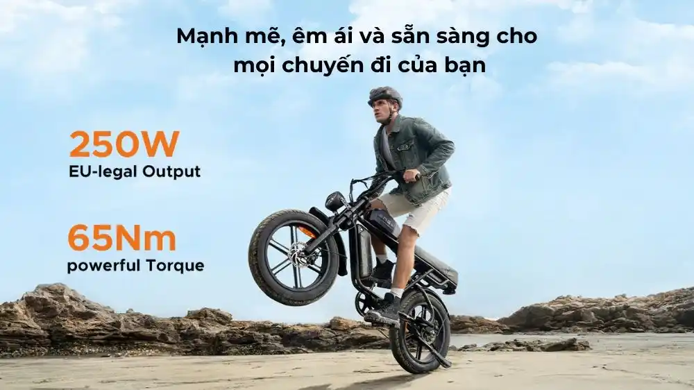 Trang bị động cơ 250W