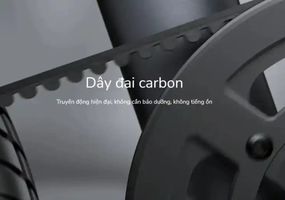 Dây đai Carbon
