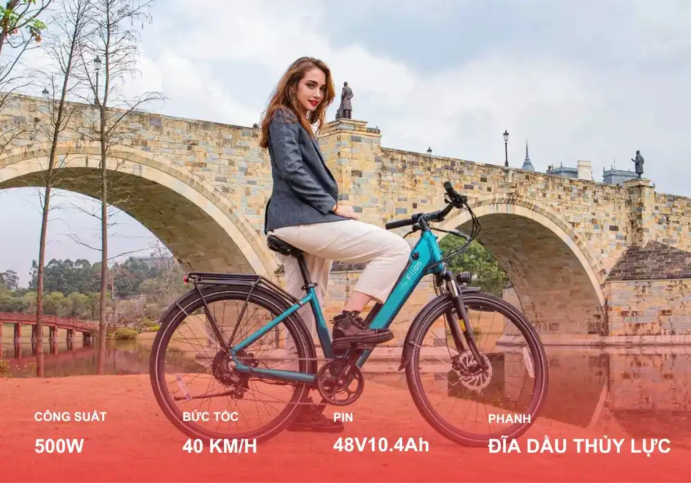 Xe Đạp Trợ Lực Điện Fiido C11
