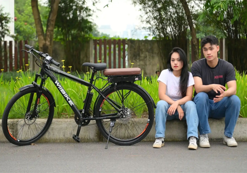 Xe đạp trợ lực điện Wiibike Sapa