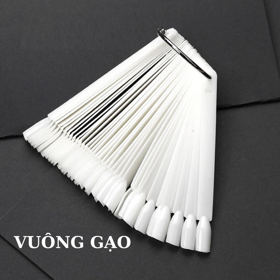 Móng Que Tập Sơn Vuông – Bảng Màu Nail 50 Tips (Trắng/Đen/Trong/Đục) Trưng Bày Màu Sơn
