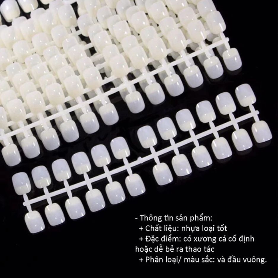 Bịch Móng Tập Sơn (10 vỉ 240 móng) - Form Vuông