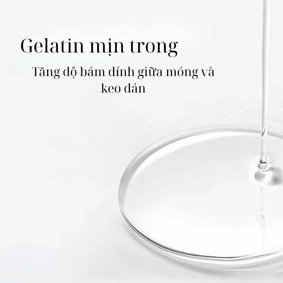 Primer Kiềm Dầu Vinimay 15ml Chính Hãng