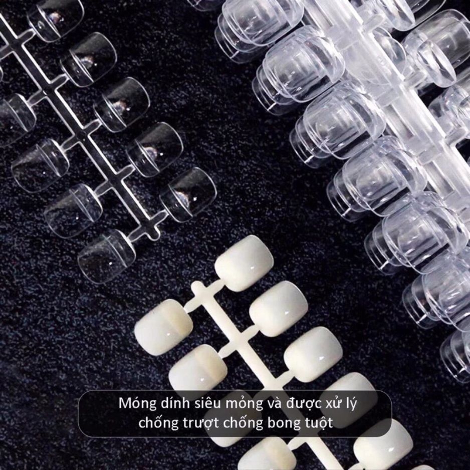 Bịch Móng Tập Sơn (10 vỉ 240 móng) - Form Vuông