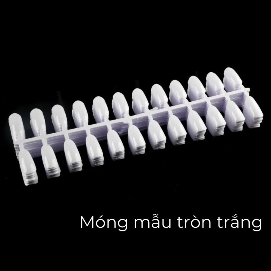 Bịch Móng Tập Sơn (10 vỉ 240 móng) - Form Tròn