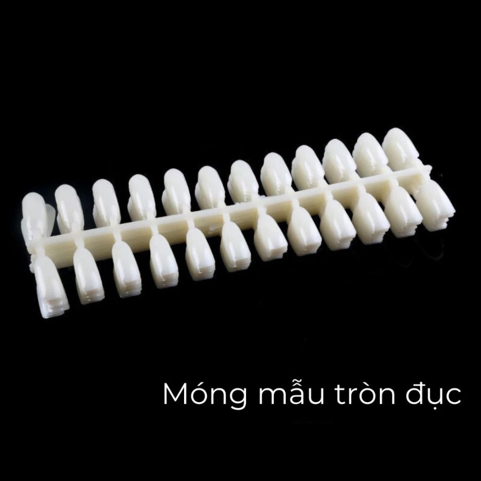 Bịch Móng Tập Sơn (10 vỉ 240 móng) - Form Tròn