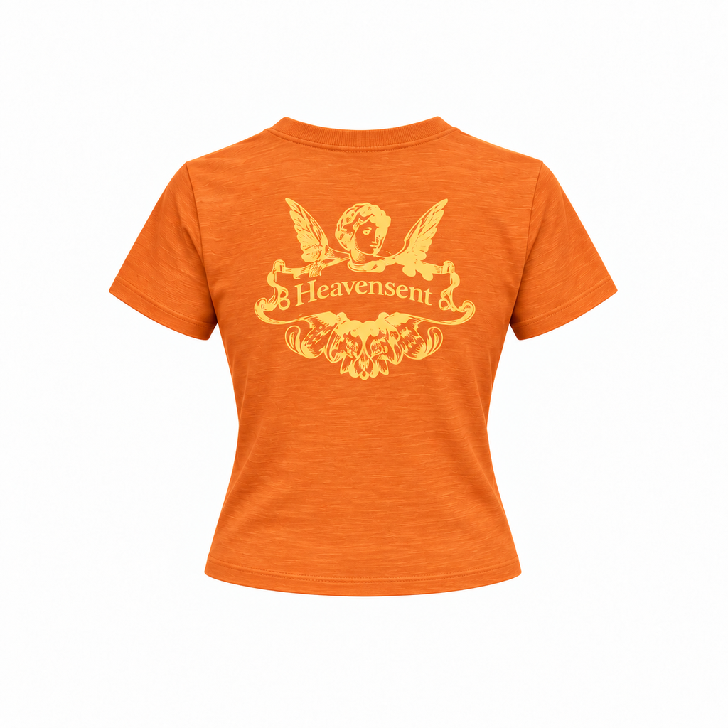 [Vải Xược] Áo Thun Xược Baby Tee In 