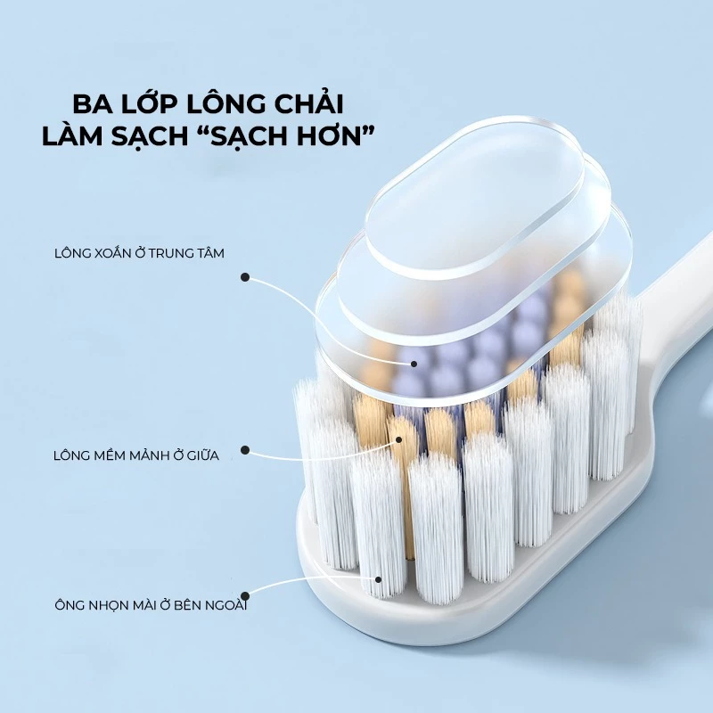 Bộ hai bàn chải Royalead màu hồng và màu xanh lá cây