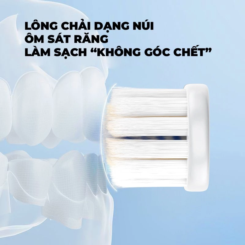 Bộ hai bàn chải Royalead Màu cam và xám