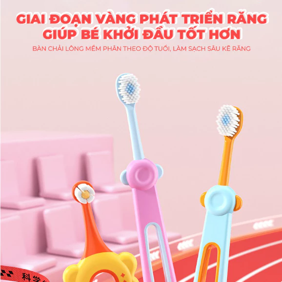 Bàn chải Y.Duck hình gấu Màu hồng dành cho trẻ lớn hơn từ 6-12 tuổi.