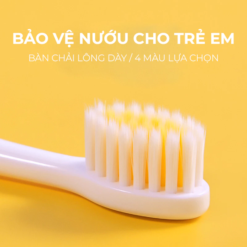 Hộp 8 bàn chải trẻ em màu sắc