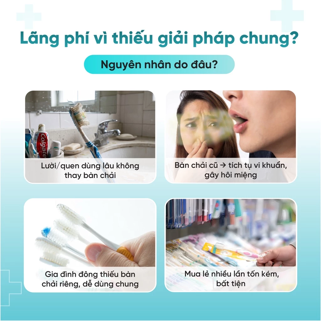 Hộp 8 màu Morandi bàn chải trơn góc cạnh