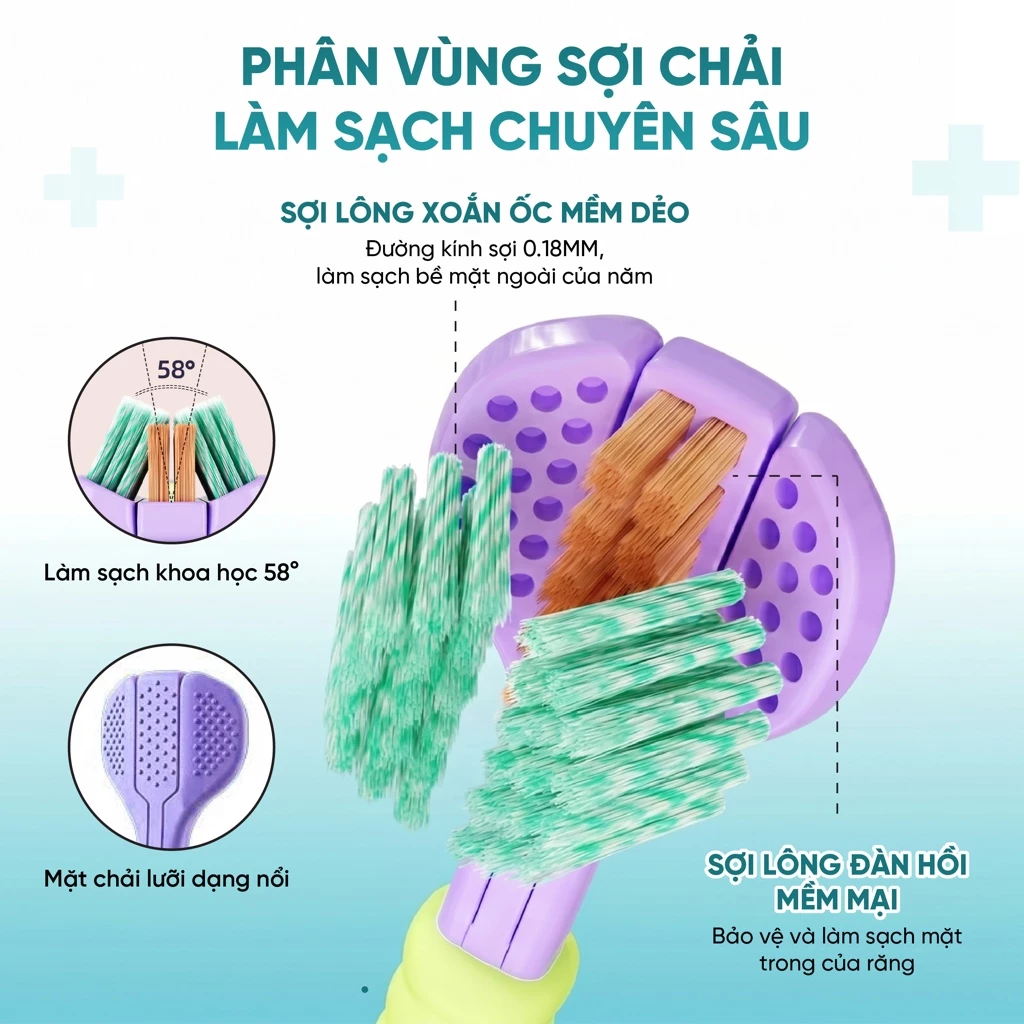 Bàn chải đầu tách 3 Màu tím