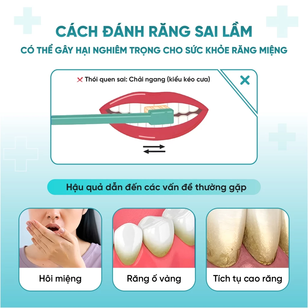 Bàn chải có giác hút hồng