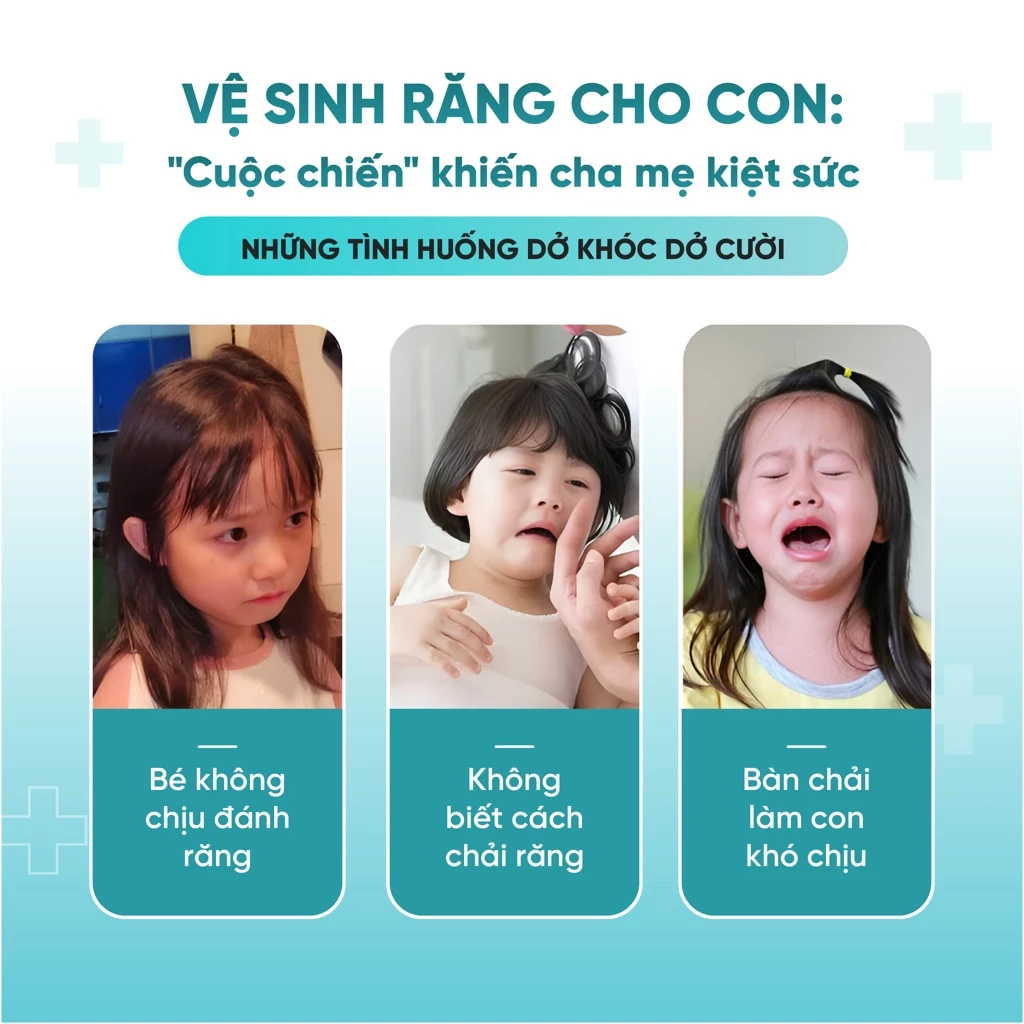 Hộp 6 bàn chải đầu vuông màu sắc