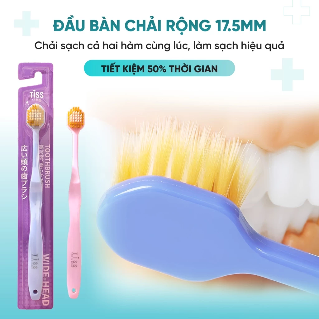 Bàn chải dây xoắn cao cấp, hộp đựng có giác hút kép - Xanh Đậm