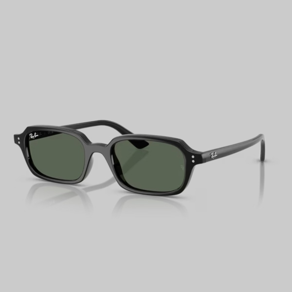 RAYBAN 0RB4455F
