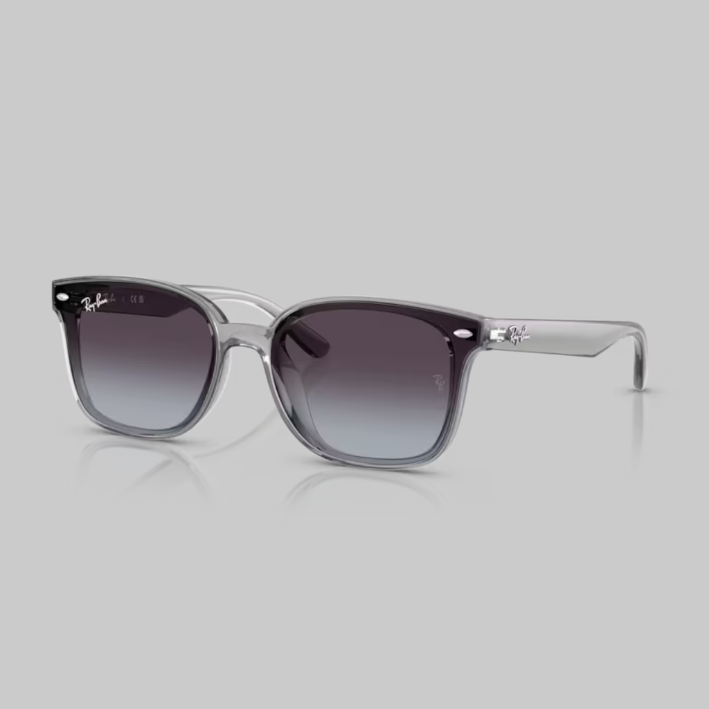 RAYBAN 0RB4461D