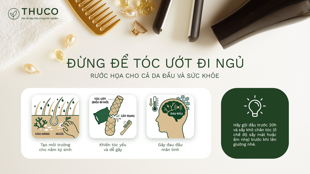 Thấu hiểu mái tóc cùng THUCO