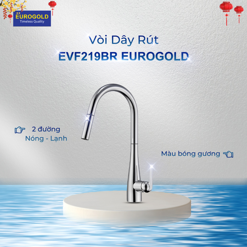 Vòi rửa bát Eurogold EUF219BR - inox SUS304, bóng gương, dây rút