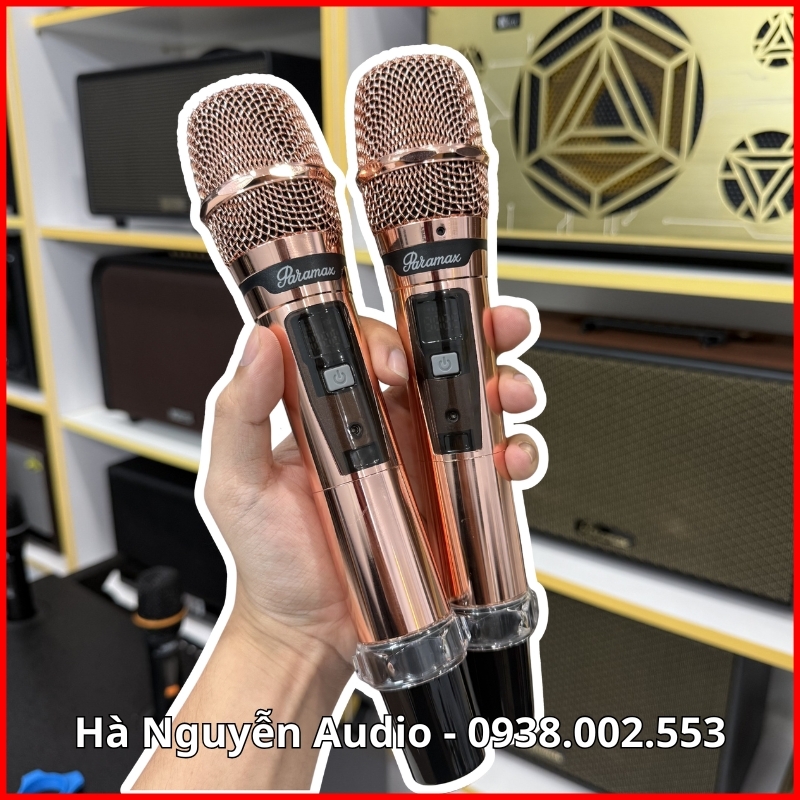 Loa Karaoke Xách Tay Paramax Saga