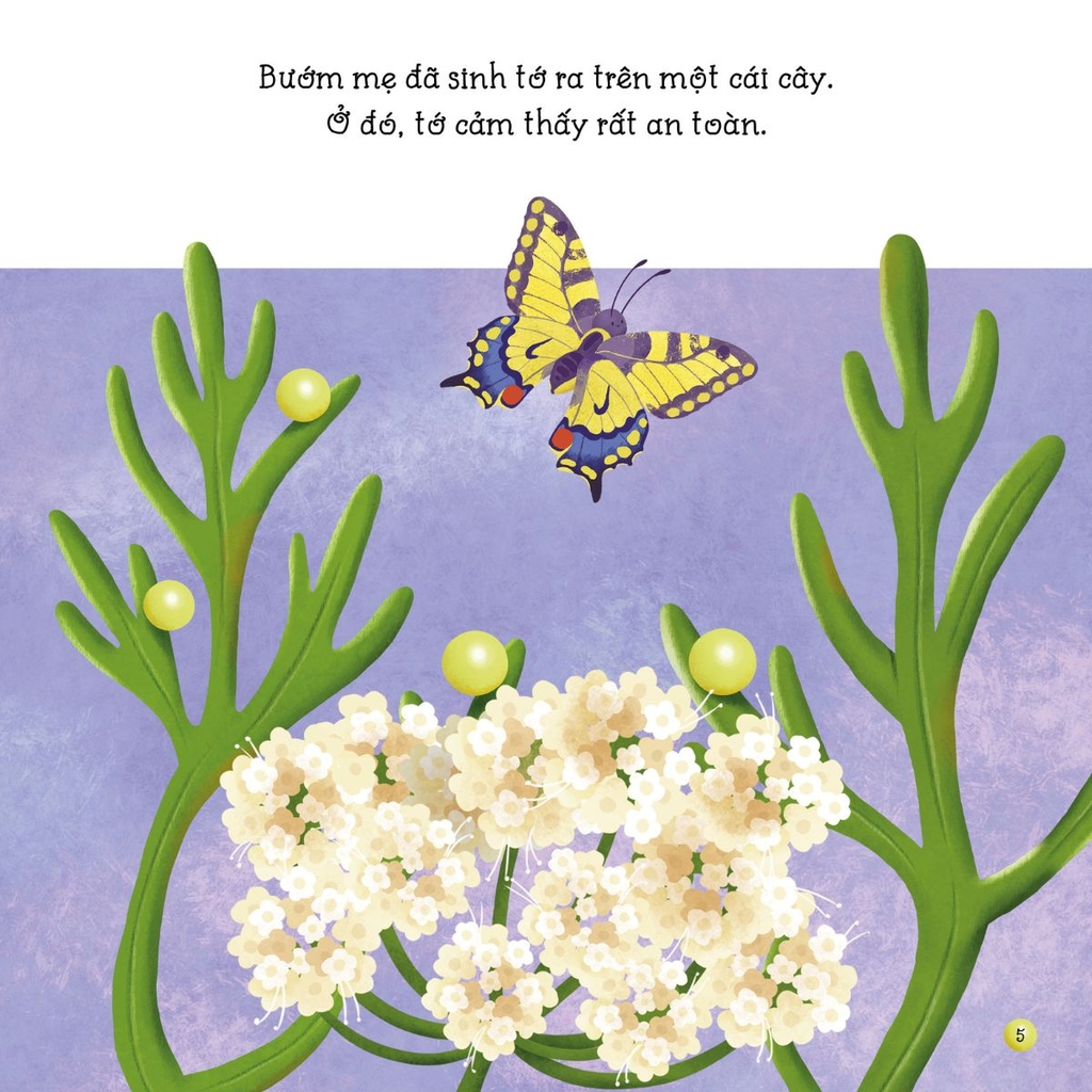 Sâu Bướm Bé Nhỏ - Câu Chuyện Tự Nhiên -Tân Việt Books
