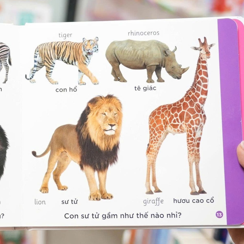 Song Ngữ Anh Việt - Cuốn Sách Đầu Tiên Của Tớ Về: Animals – Động vật