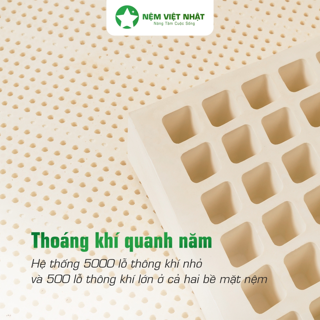 Nệm Cao Su Thiên Nhiên Việt Nhật Natural – Thế Hệ Mới Nâng Đỡ Hoàn Hảo, Xoa Dịu Mọi Cơn Nhức Mỏi