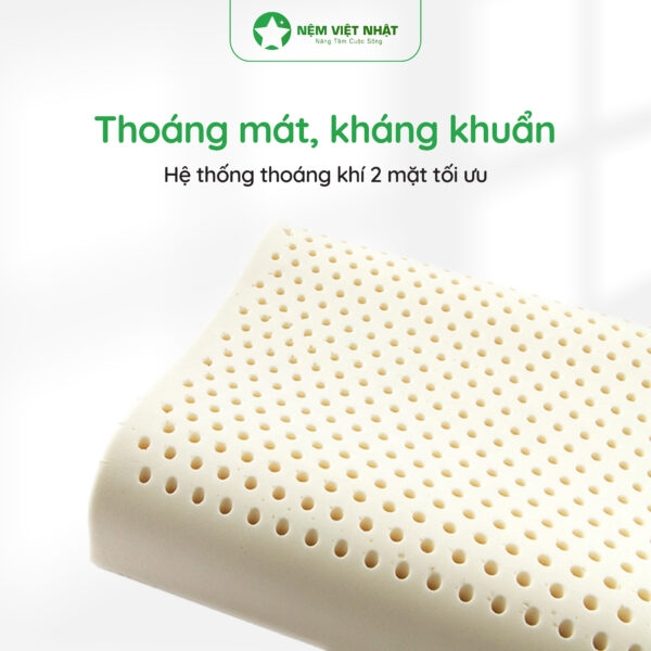 Gối Nằm Cao Su Lượn Sóng Việt Nhật