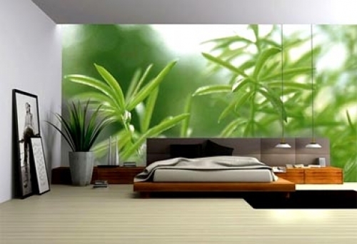 Giấy dán tường annie Lào Cai giá tốt nhất