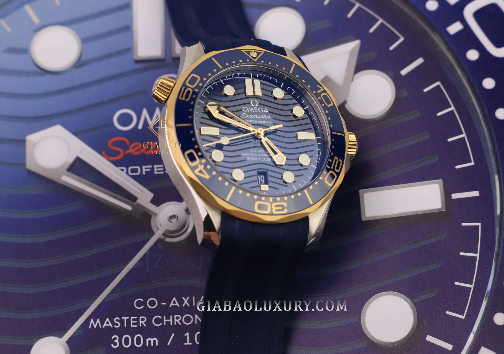 Đồng Hồ Omega Seamaster Diver 300M Co-Axial Master 210.22.42.20.03.002