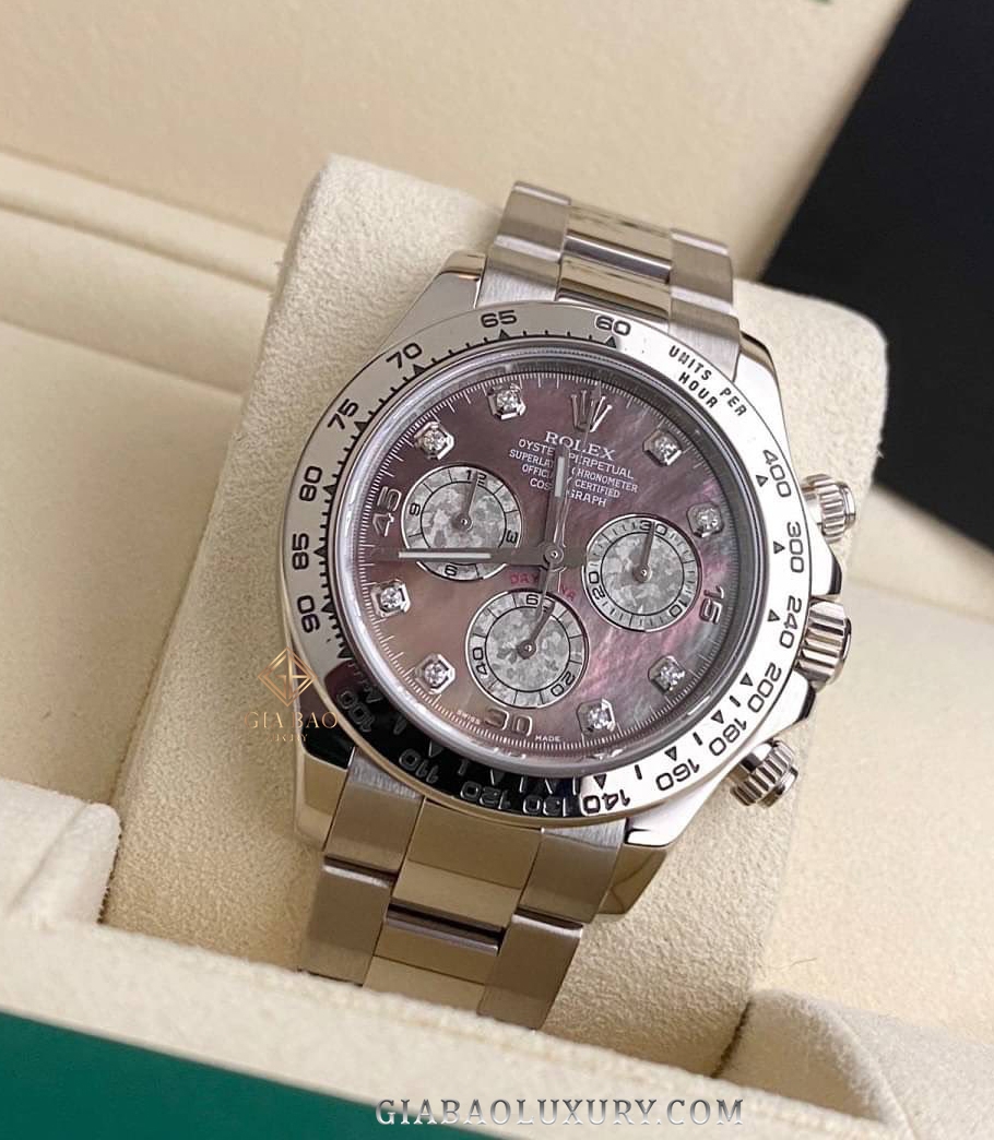 Đồng Hồ Rolex Cosmograph Daytona 116509 Mặt Số Xà Cừ Tím