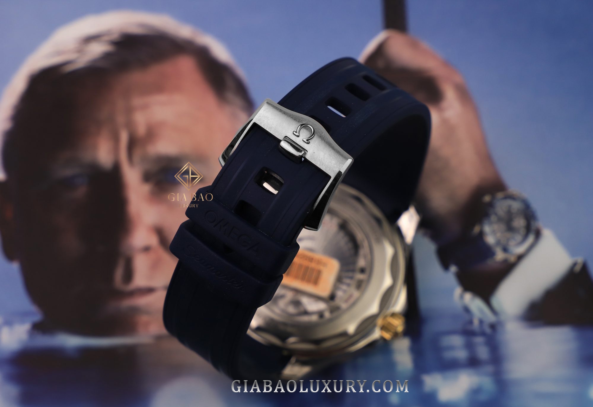 Đồng Hồ Omega Seamaster Diver 300M Co-Axial Master 210.22.42.20.03.002
