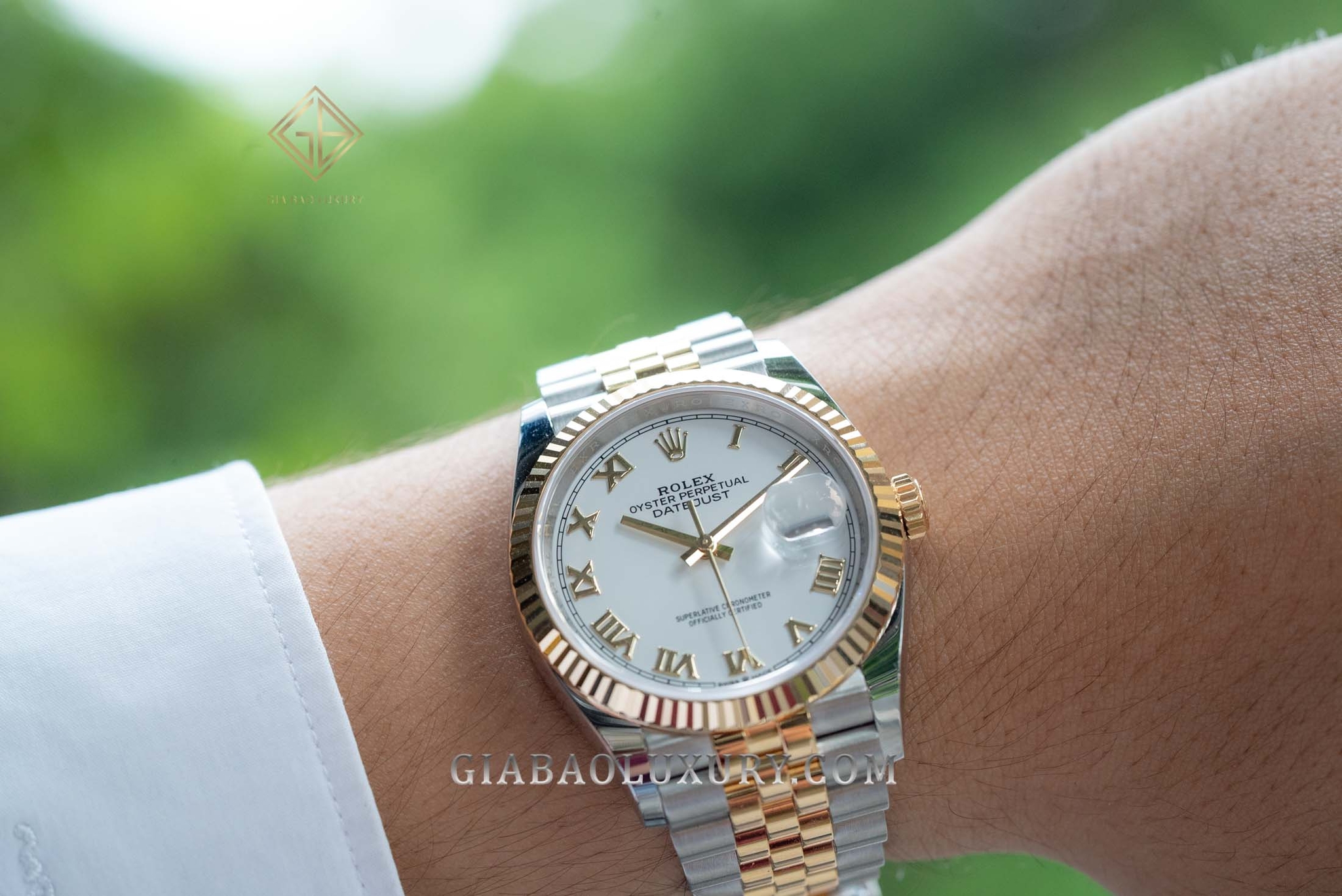 Đồng Hồ Rolex Datejust 36 126233 Mặt Số Trắng Cọc Số La Mã