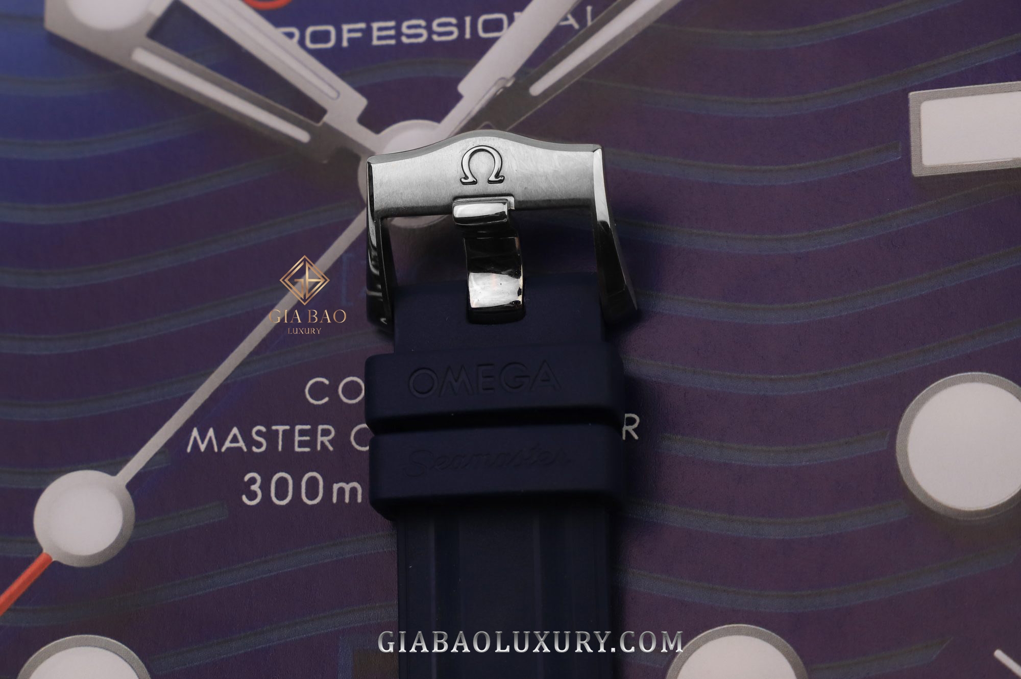 Đồng Hồ Omega Seamaster Diver 300M Co-Axial Master 210.22.42.20.03.002