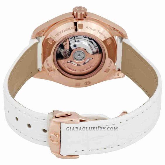 Đồng Hồ Omega Seamaster Aqua-Terra 231.53.34.20.55.001