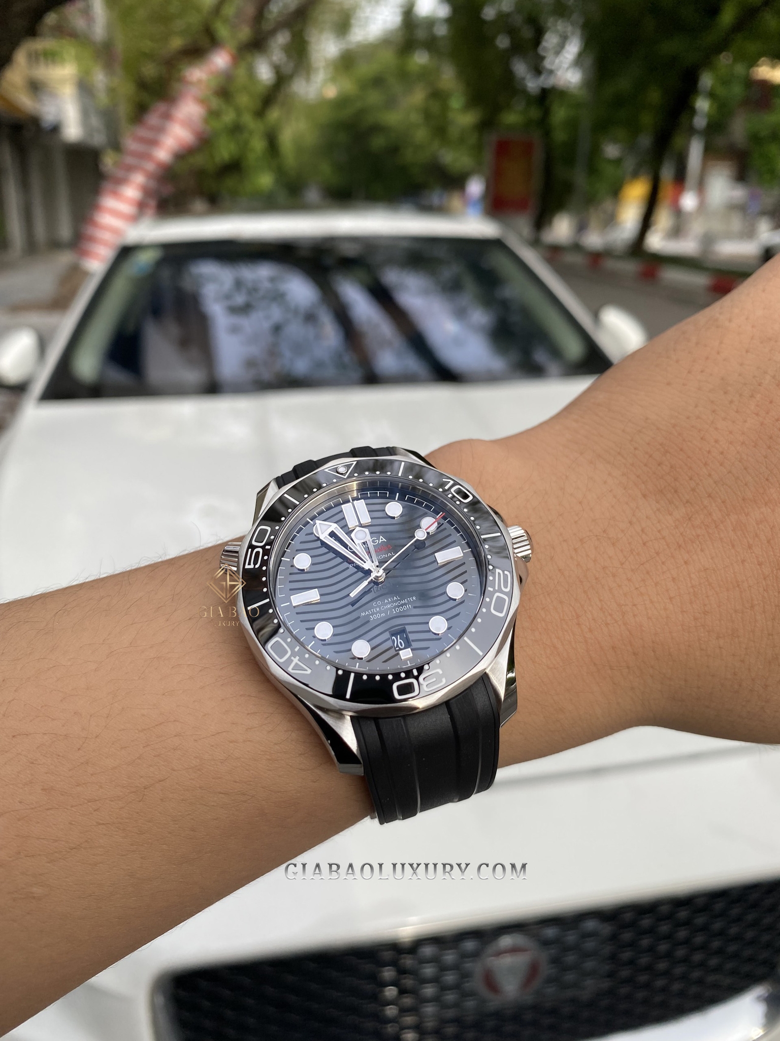 Đồng Hồ Omega Seamaster Diver 300M 210.32.42.20.01.001