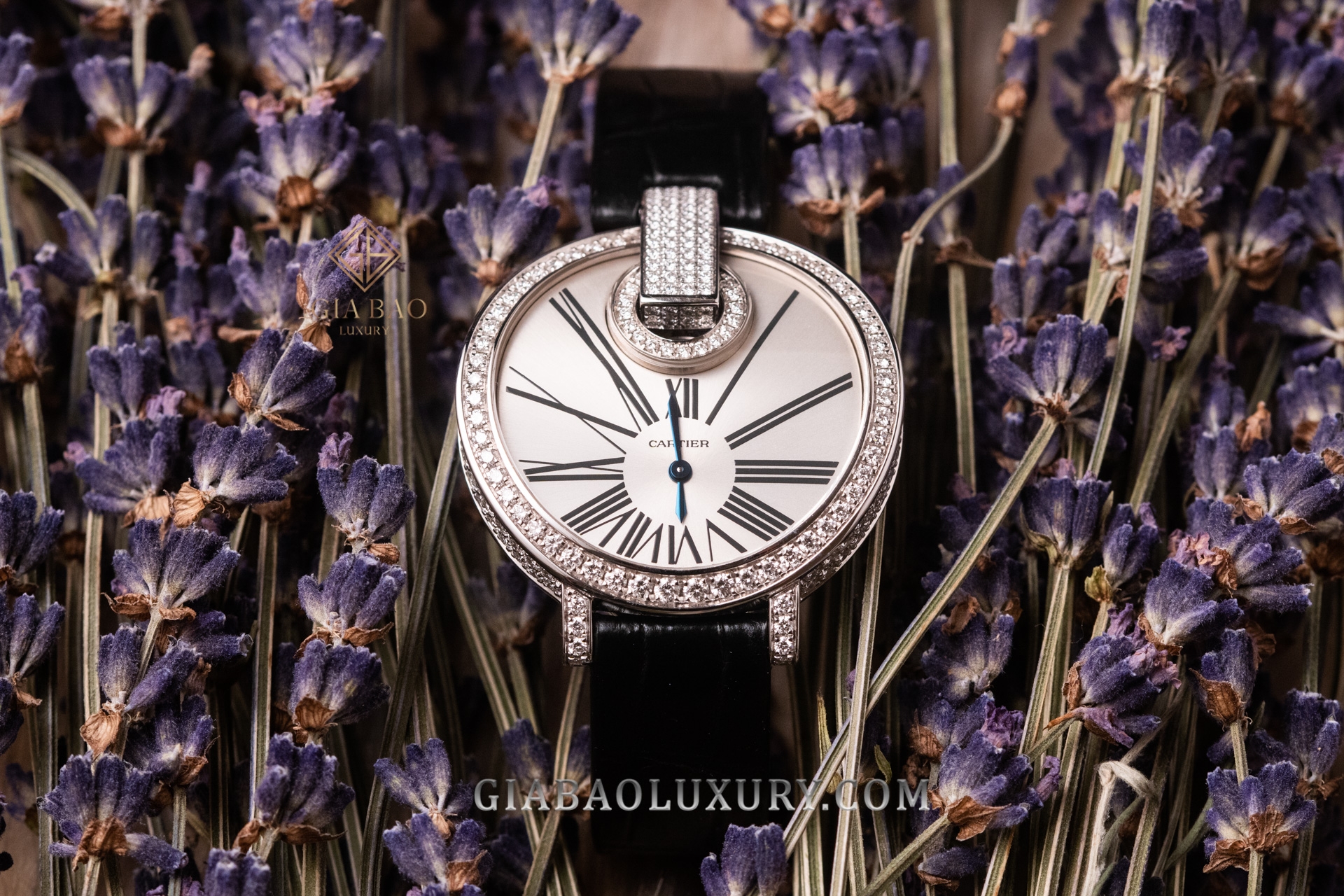 Đồng Hồ Cartier Captive de Cartier