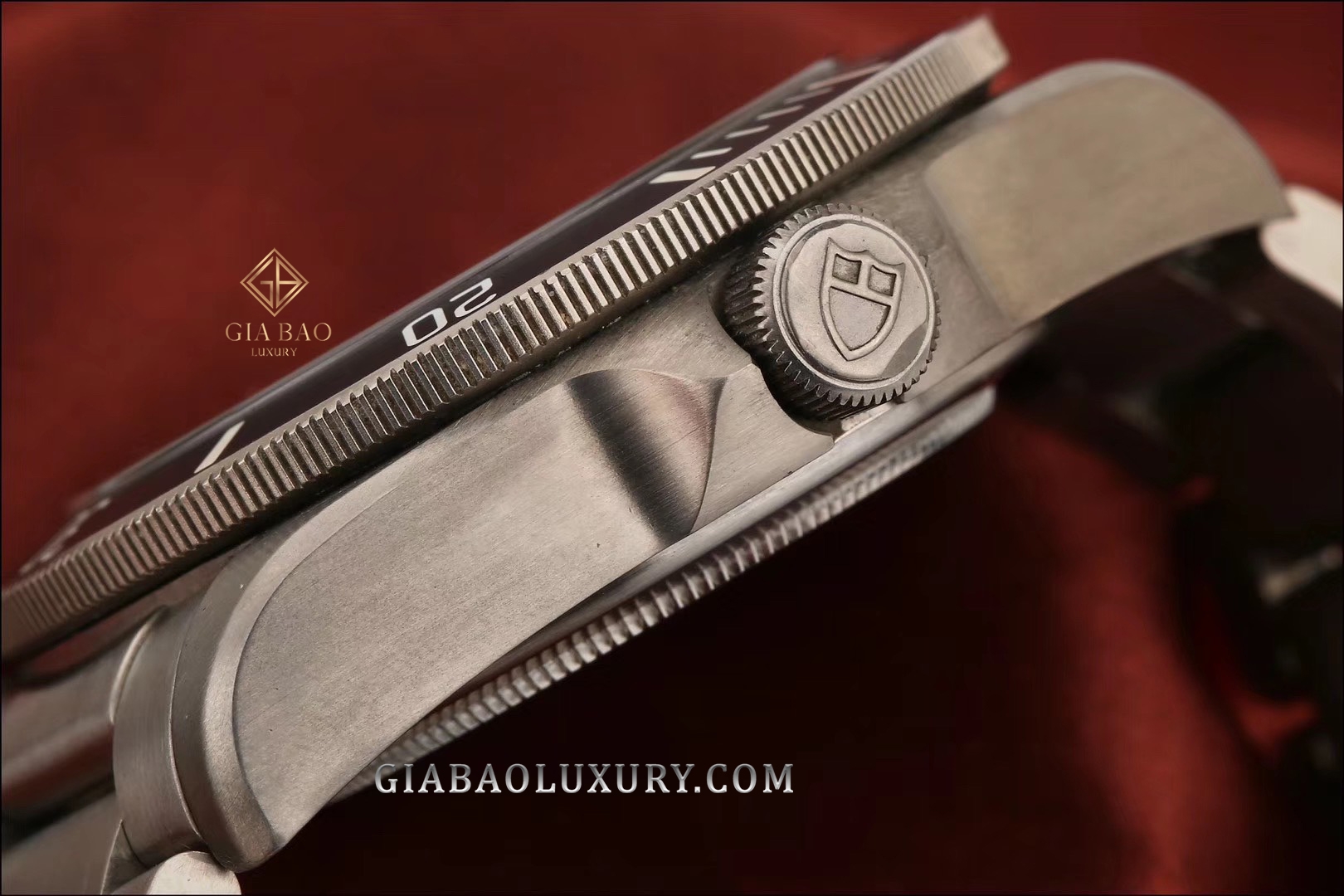 Đồng Hồ Tudor Pelagos 42mm 25500TN