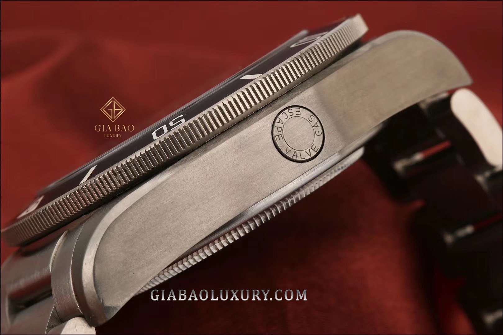 Đồng Hồ Tudor Pelagos 42mm 25500TN