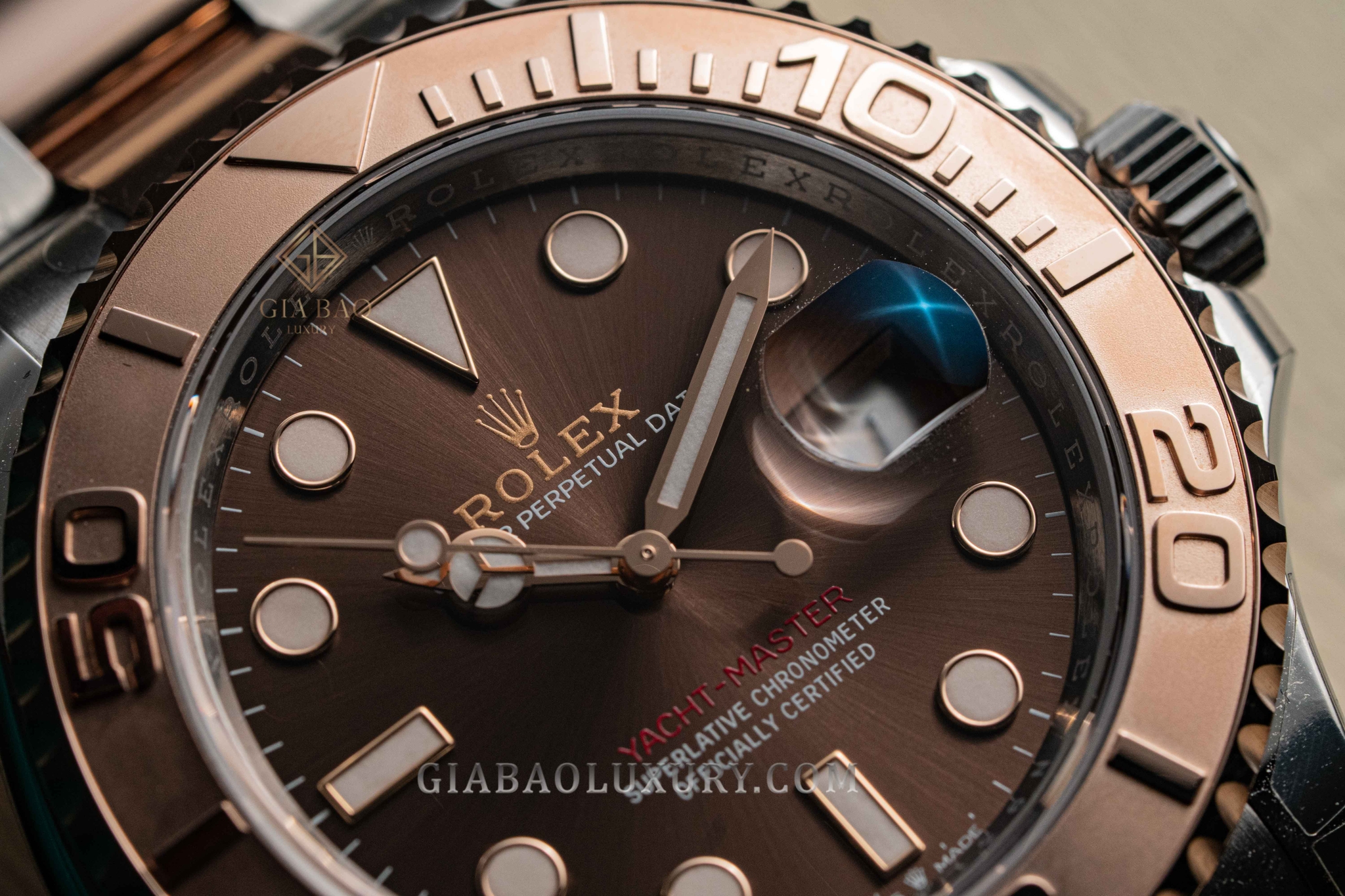 Đồng Hồ Rolex Yacht-Master 126621 Mặt Số Chocolate