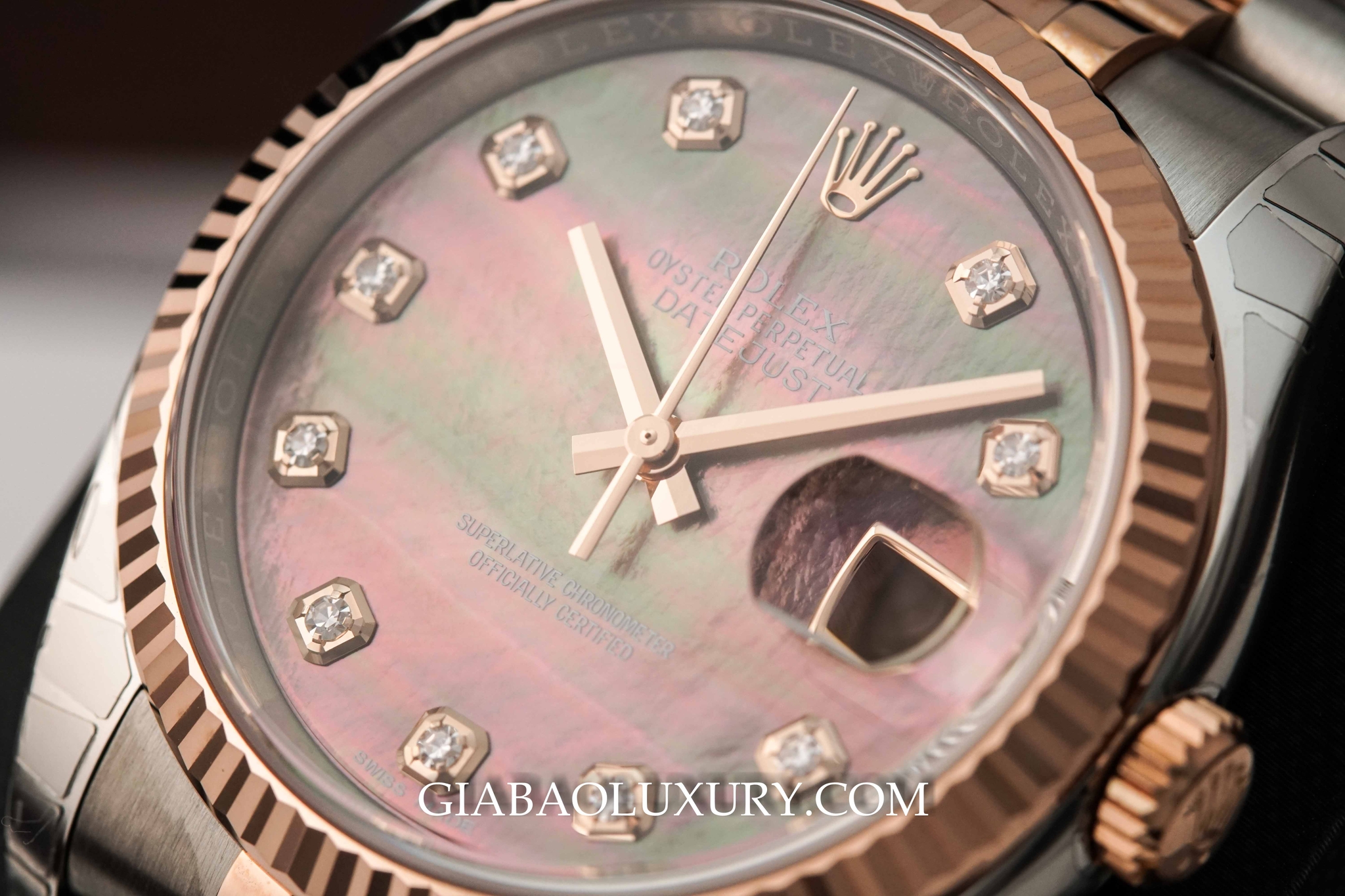đồng hồ rolex datejust 116231 mặt ốc tím