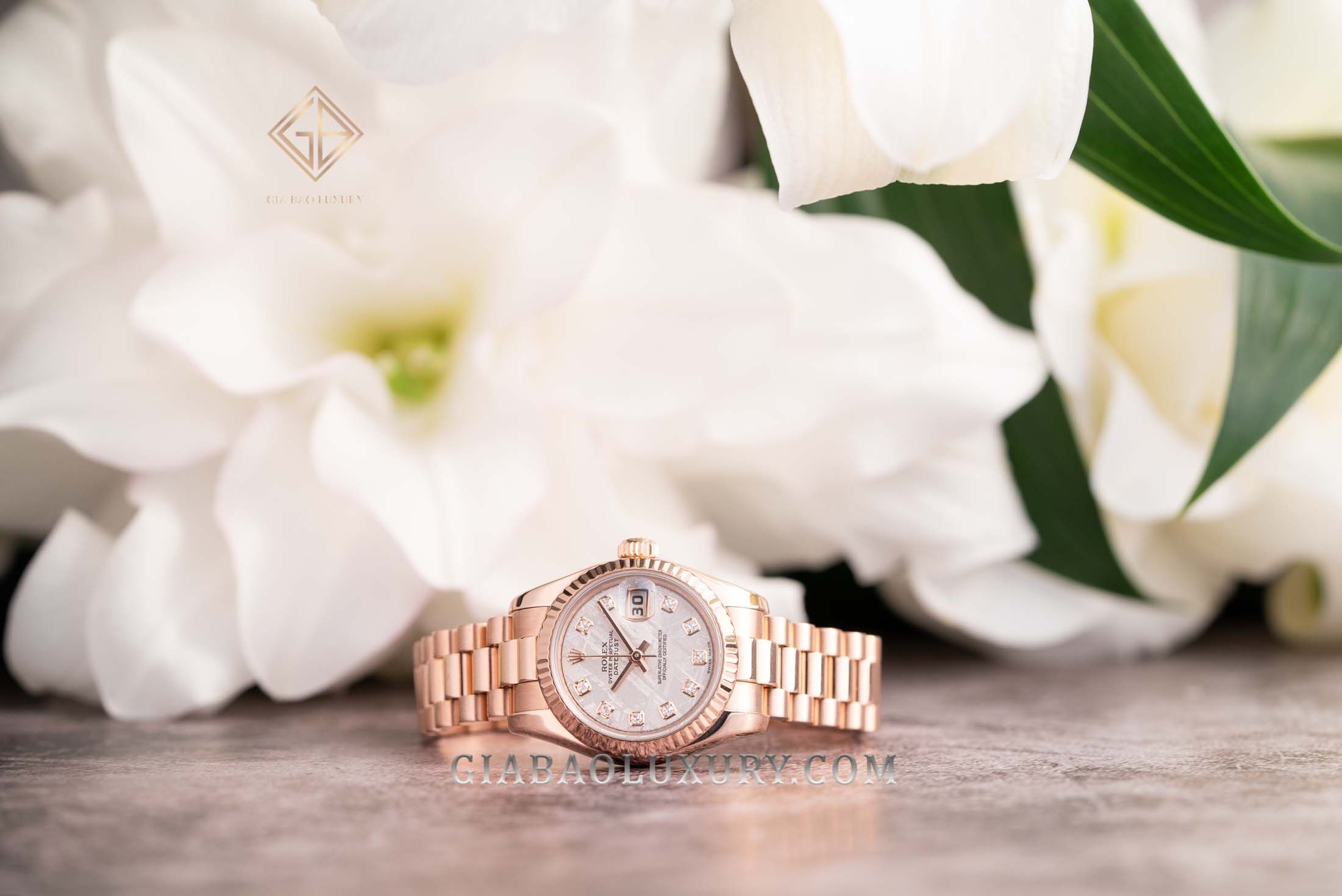 Đồng hồ Rolex Lady Datejust 179175 Mặt Số Thiên Thạch