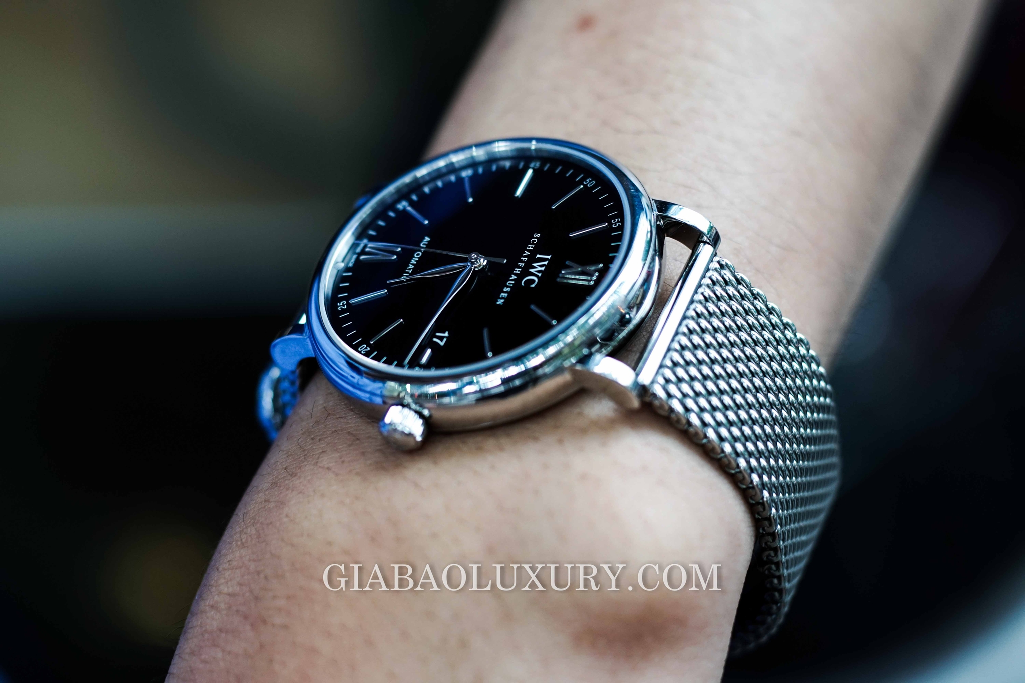 đồng hồ IWC