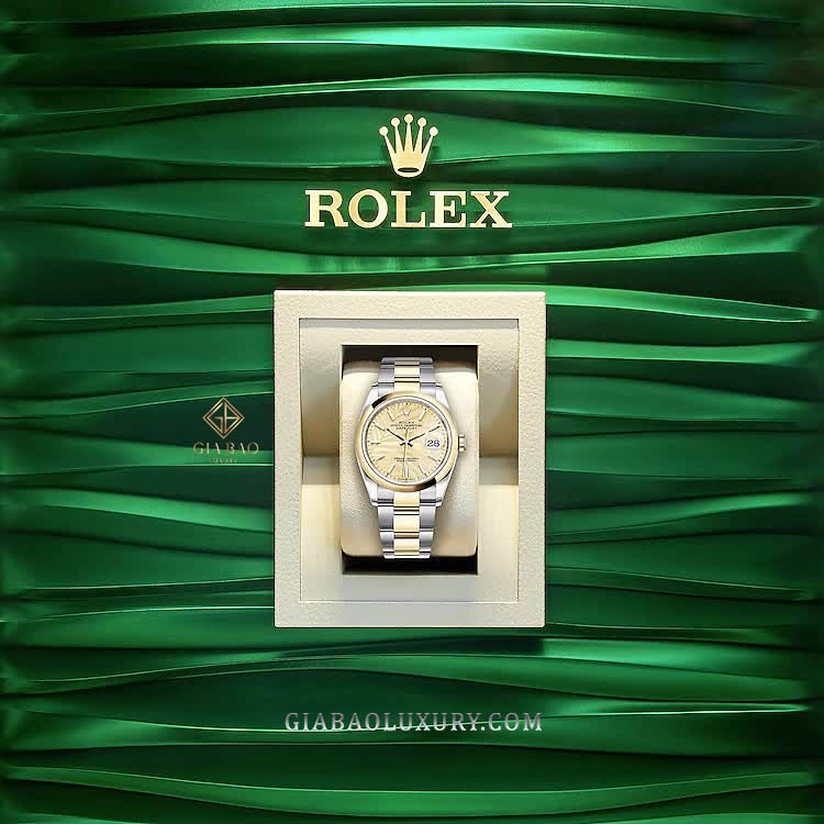 Đồng Hồ Rolex Datejust 36 126203 Mặt Số Cây Lá Nhiệt Đới Vàng Champagne Cọc Số Dạ Quang Dây Đeo Oyster