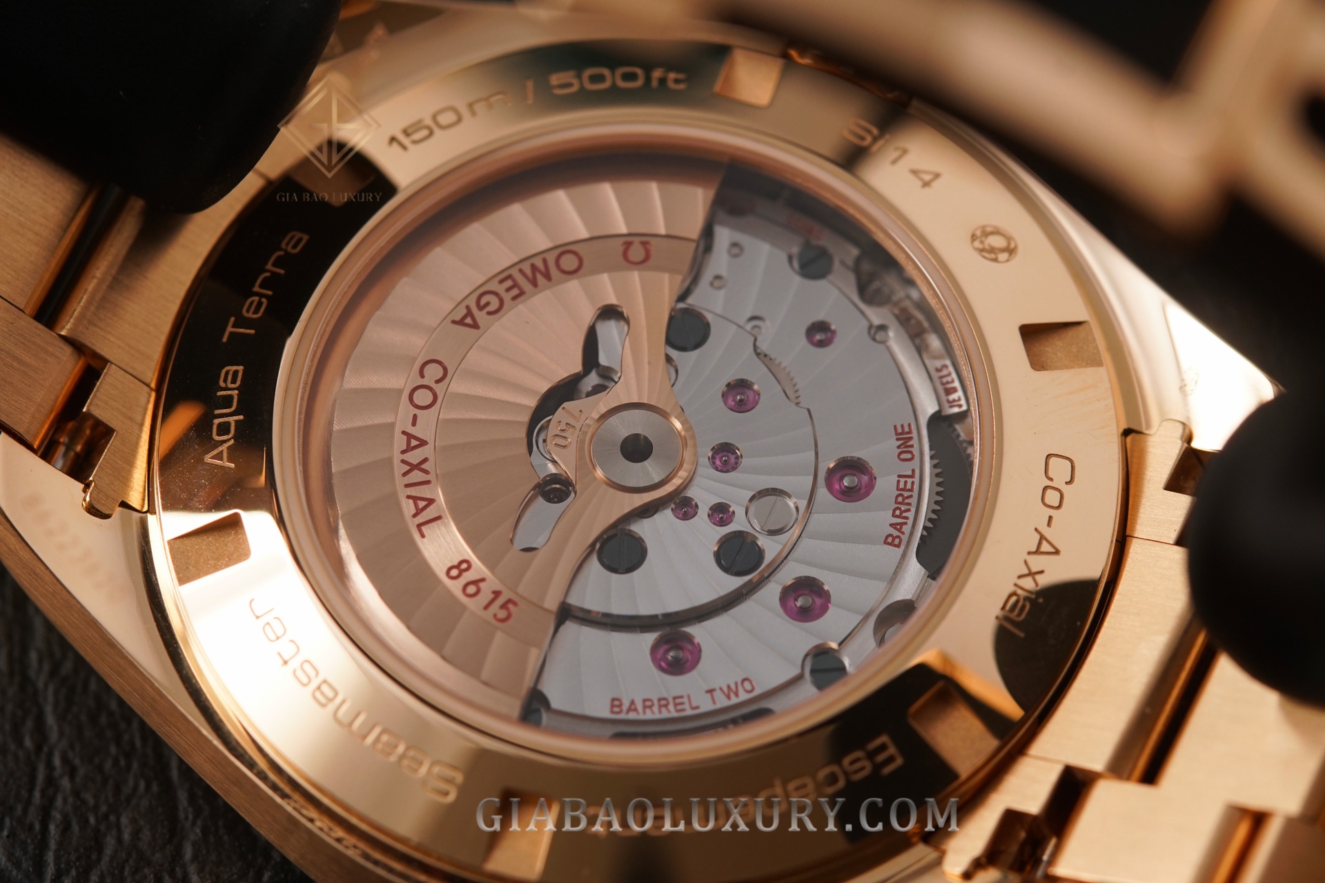 Đồng Hồ Omega Seamaster Aqua Terra GMT 43 231.50.43.22.06.002